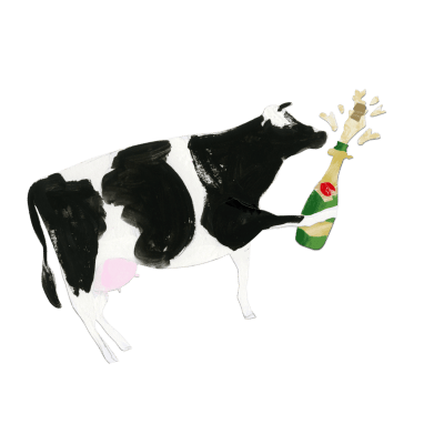 champagne-cow illustration