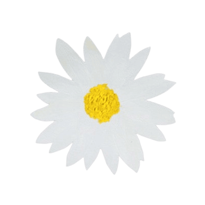 daisy illustration