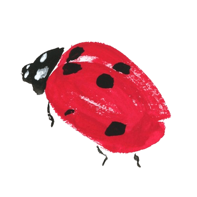 ladybird illustration