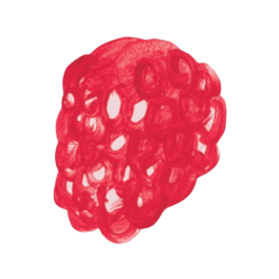 raspberry illustration